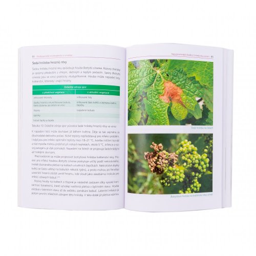 Biodynamické vinohradnictví a vinařství
