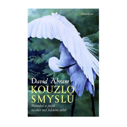Kouzlo smyslů