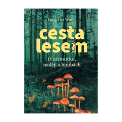 Cesta lesem