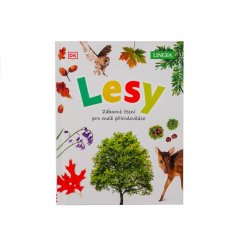 Jamie Ambrose: Lesy