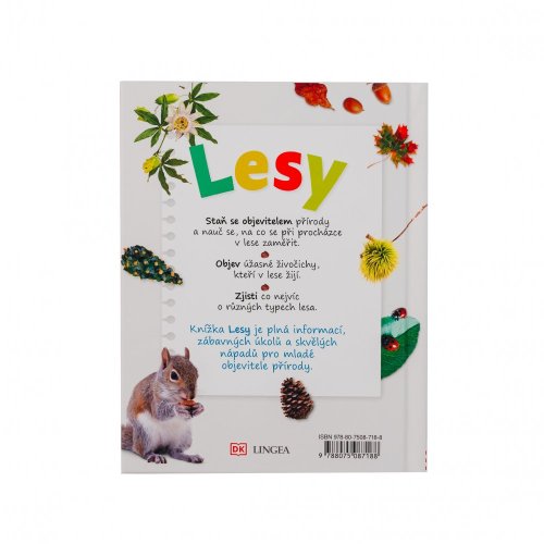 Jamie Ambrose: Lesy